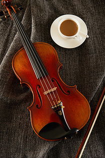 PSD大提琴 PSD格式大提琴素材图片 PSD大提琴设计模板 