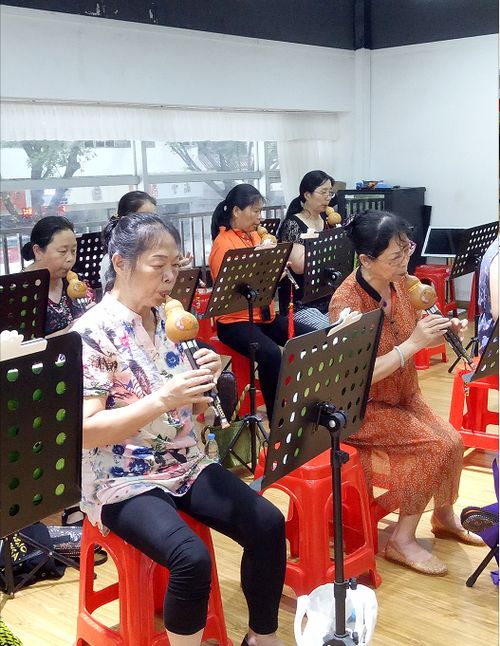 深圳社区家园网 荔芳社区 荔芳社区开展葫芦丝乐器培训活动